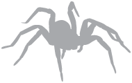 Tarantula Market