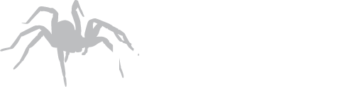 Tarantula Market